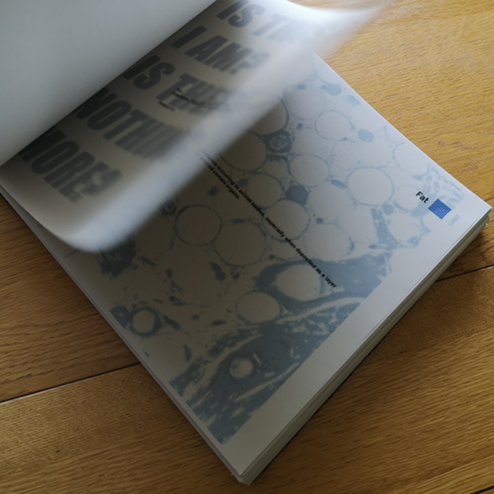 Pattern Recognition: Book